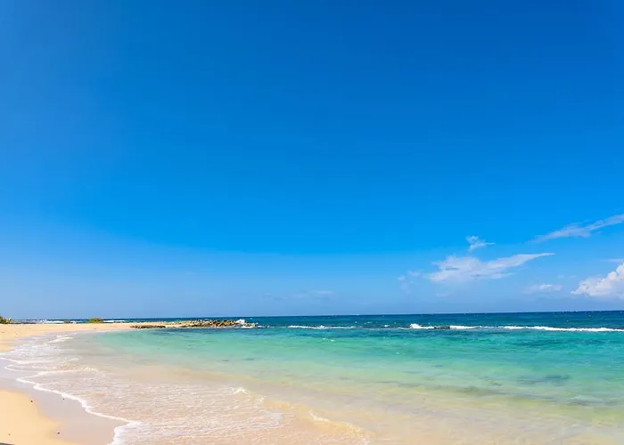 Resort Melia Jamaica Braco Village All Inclusive 5*